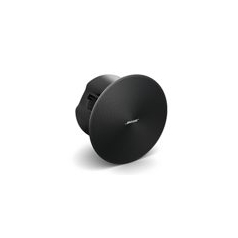 Altavoz Bose profesional>