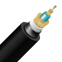 12 Strand 50/125 SSF DB>