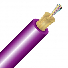 12 Strand 50/125 SSF Indoor/Outdoor>