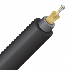 12 Strand 9/125 SSF Non-rated Outdoor>