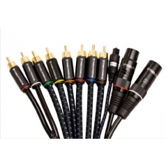 Tributaries Promotional - Bouquets Serie 4 (pieza)>