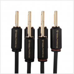 Banana to Banana Biwire Speaker Tributaries>