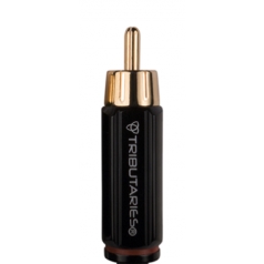 Audio Connectors  Tributaries>