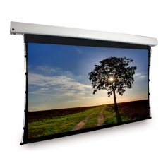 Pantalla para Proyección Dragonfly>