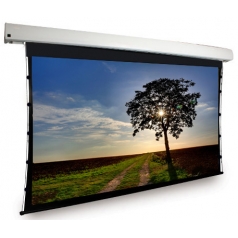 Pantalla para Proyección Dragonfly>