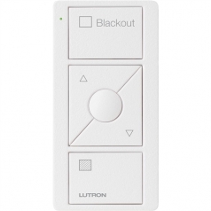 PICO WIRELESS CONTROL>