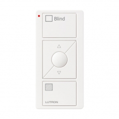 PICO WIRELESS CONTROL>