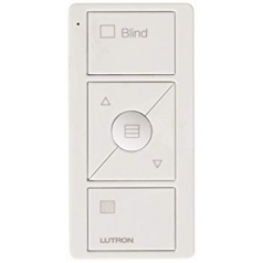 PICO WIRELESS CONTROL>