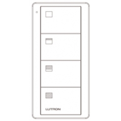 PICO WIRELESS CONTROL>