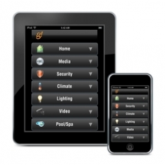 Elan Viewer Software License (pieza)>